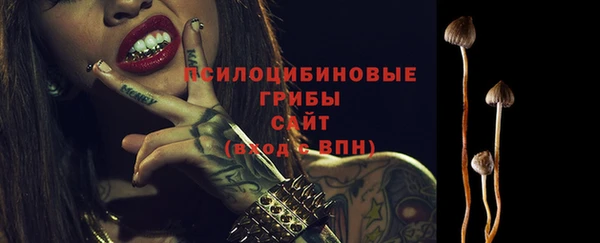 дмт Баксан