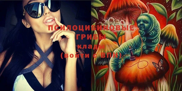 PSILOCYBIN Балахна