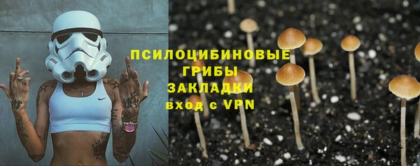 PSILOCYBIN Балахна