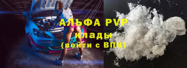 индика Армянск